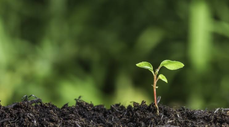 The Power of Small Beginnings