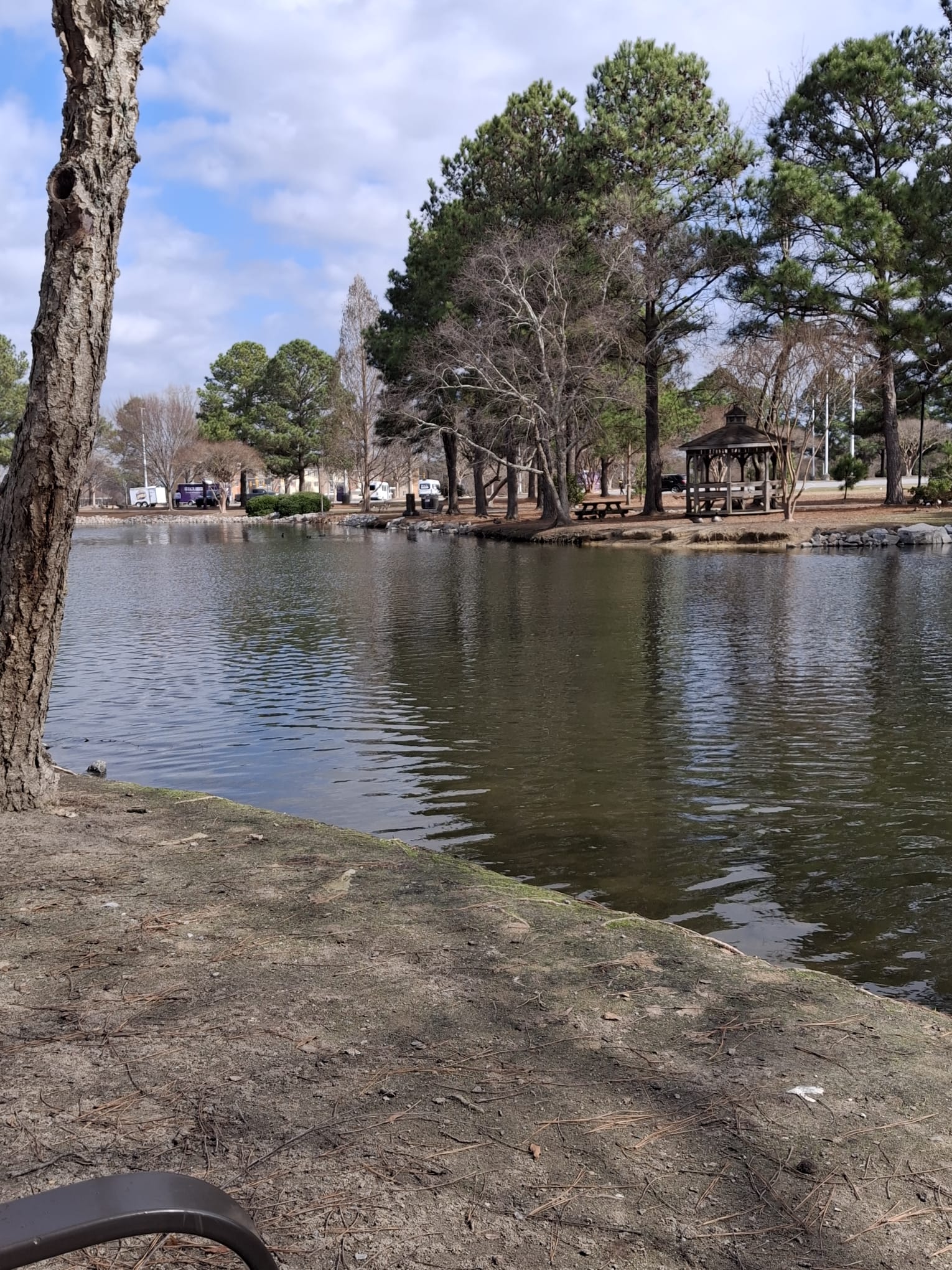 By the Water's Edge